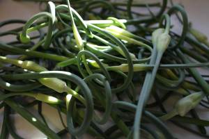 2013 0629 IMG_1933 Pile of garlic scapes